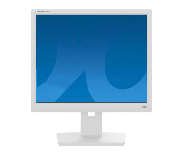 iiyama B1980D-W5 - 1163363 - zdjęcie